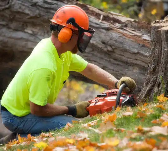 tree services Cape Carteret